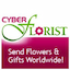 cyber-florist.com